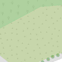 Map tile image