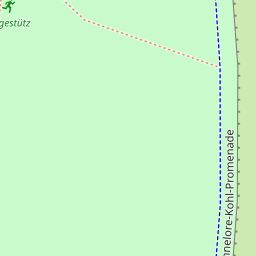 Map tile image
