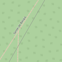 Map tile image