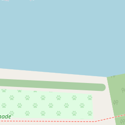Map tile image