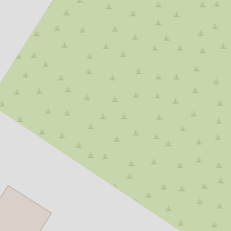 Map tile image